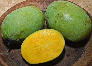 Благоухоющее манго (Mangifera odorata)