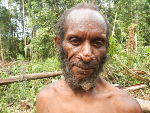 Добиблейский портрет. Мужчина племени короваи из деревни Левилхай, Папуа