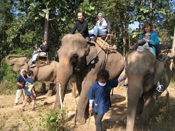 Прогулка на слонах в Чангмае